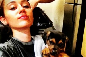 Miley Cyrus adoptiert Welpen