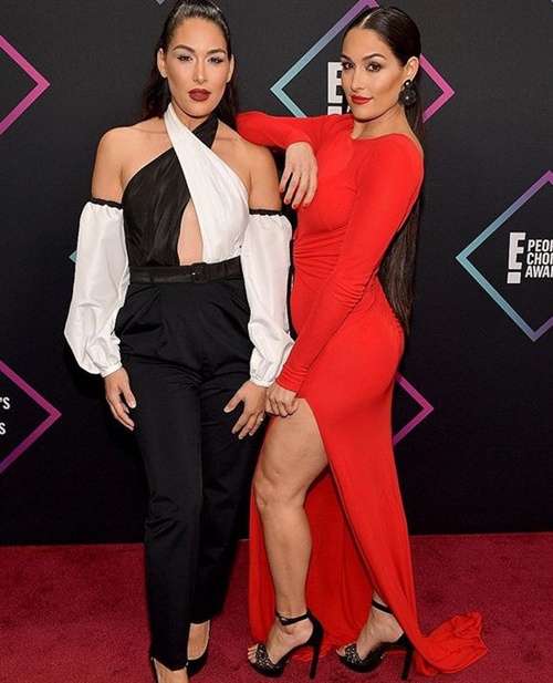 The Bella Twins